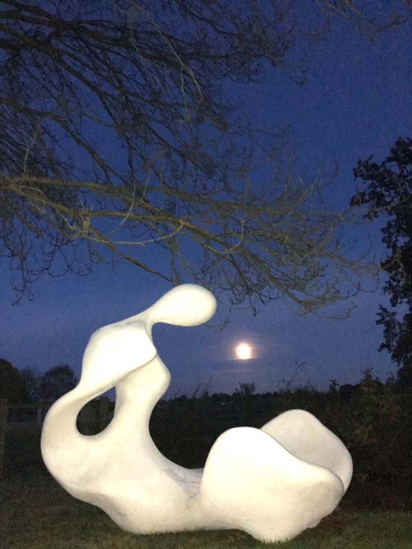 Birth - Sculpture in resin by moonlight