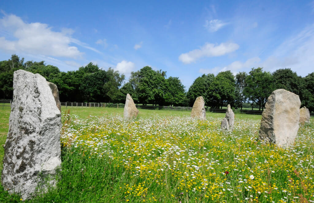 The Sussex Stones with a backdrop of trees