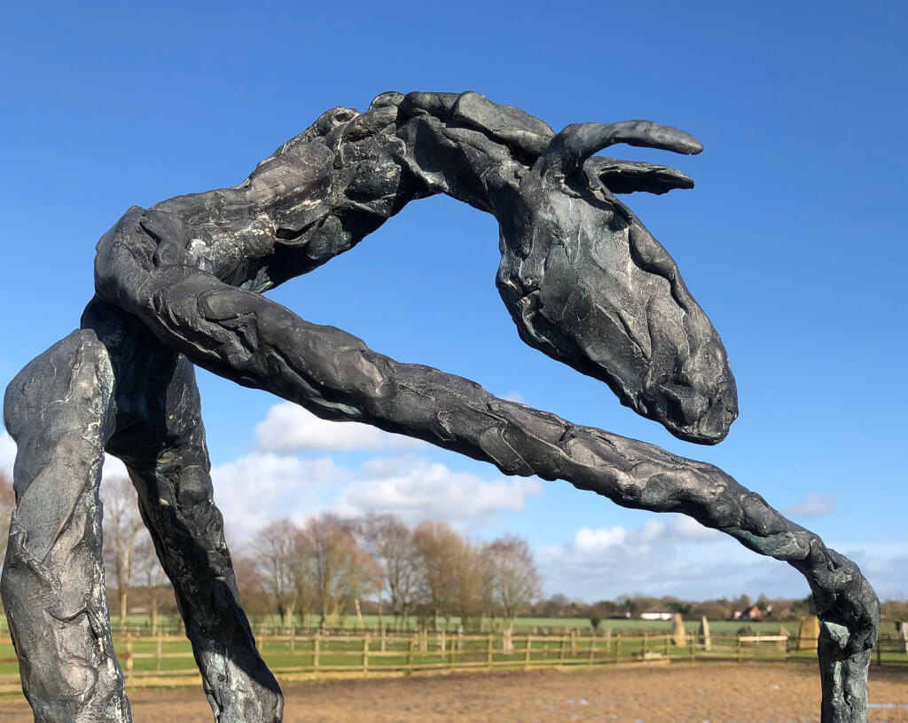 A Man Called Horse - Sculpture. This colour photo shows a fine art bronze sculpture outdoors. The sculpture is of a semi-abstract standing figure and the photo is taken from the side so we are looking at the right side with the ficure facing right. It is standing on two legs - possibly back legs.. It has a very short body and from the right shoulder is an elongated limb sloping forwards and down at about 30 degrees to the horizontal. This limb (it is difficult to decide if it is an arm or a foreleg of a horse) makes a sudden turn and drops vertically to the ground. There is no left arm or foreleg. Beyond the shoulder is a horse's neck which continues upwards at 30 degrees and then bends downwards, at 45 degrees culminating in a horse's head with two ears pricked forward. The bronze shows the daubs of clay and is a slightly mottled, dark ash grey colour. The background shows a brown field with post and rail fencing and beyond that green fields, also with post and rail fencing. One of the fences has a row of tall trees coming into leaf. Behind the trees are some low, white fluffy clouds and above them and behind the majority of the sculpture, a brilliant and very clear blue sky.