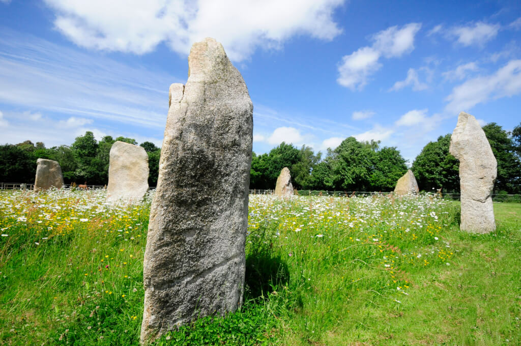 The Sussex Stone Circle. Six standing stones. Part of a circle. Cut grass outside circle. Wildflowers inside. Trees behind.