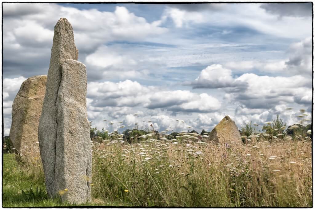 The Sussex Stones with wildflowers in the centre of the circle