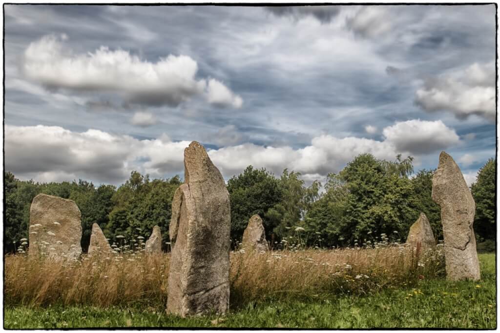 The Sussex Stones with wildflowers in the centre of the circle