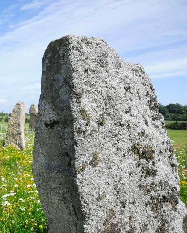 This is a close-up colour photo of a standing stone in a green grass field. It is clearly part of an arrangement of stones because there are two other standing stones behind it and to its left. Between the stones are some quite tall buttercups and daisies. The distant boundary of the field is formed by a green hedge separating it from another green field behind. Beyond the second field is a stand of trees in leaf which look like oak trees. The sky is blue, made hazy by some very high, very fine thin white cloud, covering most of the sky.